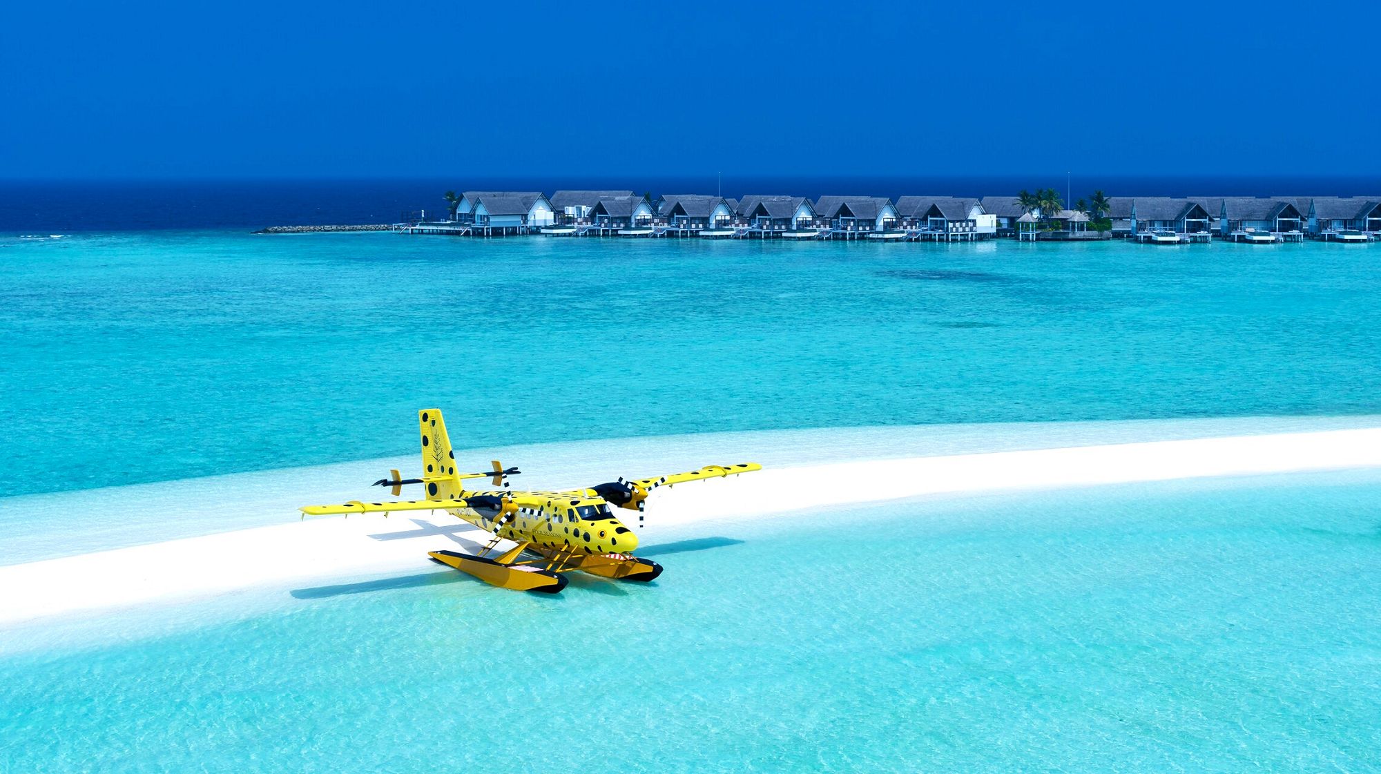 四季蘭達吉拉瓦魯(雙四季)：2025年2小免費玩+一次出海賞豚+攝影體驗，跳島加贈水飛免費