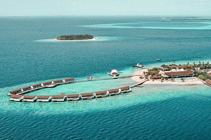 威斯汀Westin : 聯合國生態保護區內, 蝠魟季來了 