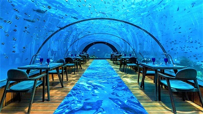 5.8 Undersea Restaurant (海底餐廳)